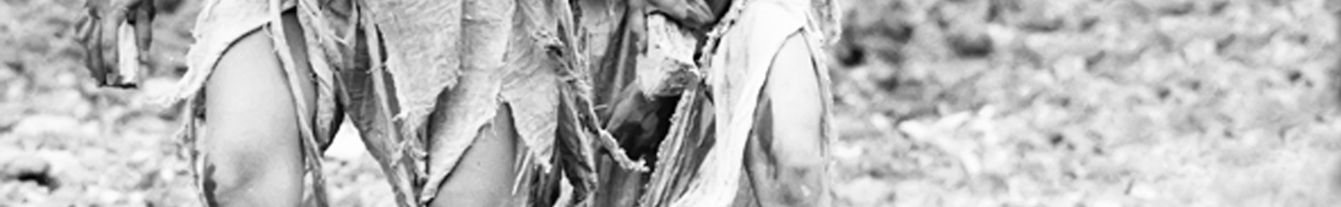 pubblicazioni italia generico